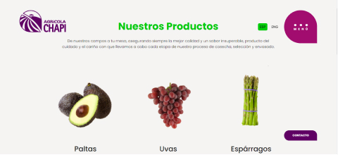 Apros - Portafolio (1)
