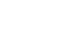 Logo Fireworks