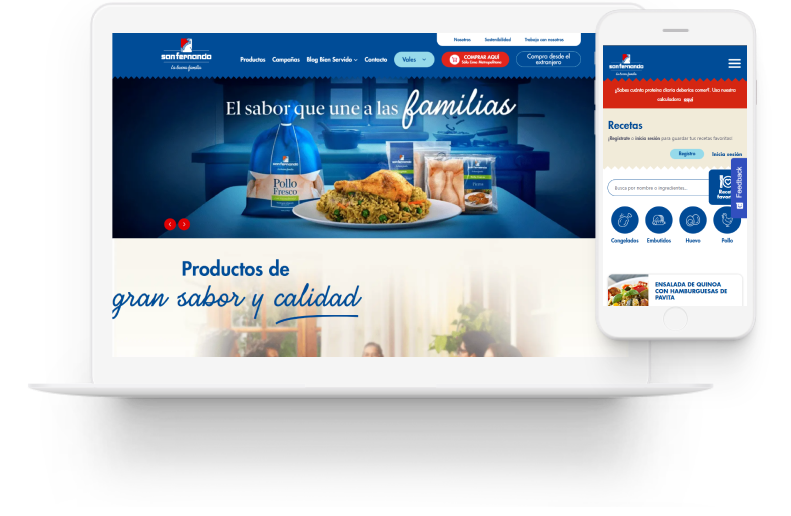portafolio web san fernando
