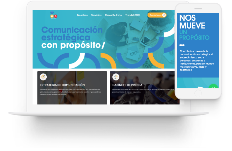 portafolio sitio web toc asociados